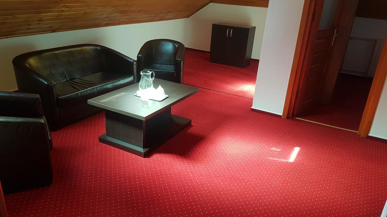 Отель Hotel Cristal Sinaia Синая
