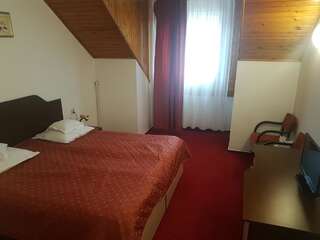 Отель Hotel Cristal Sinaia Синая Двухместный номер с 2 отдельными кроватями в мансарде-4