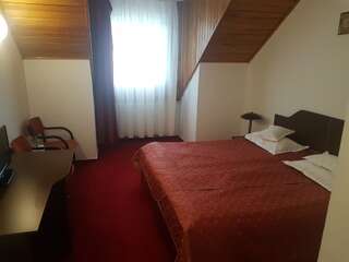 Отель Hotel Cristal Sinaia Синая Двухместный номер с 2 отдельными кроватями в мансарде-6