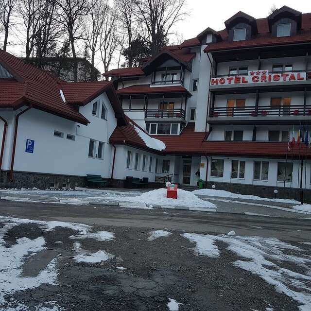 Отель Hotel Cristal Sinaia Синая-3