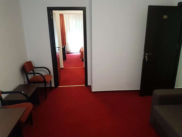 Отель Hotel Cristal Sinaia Синая-38