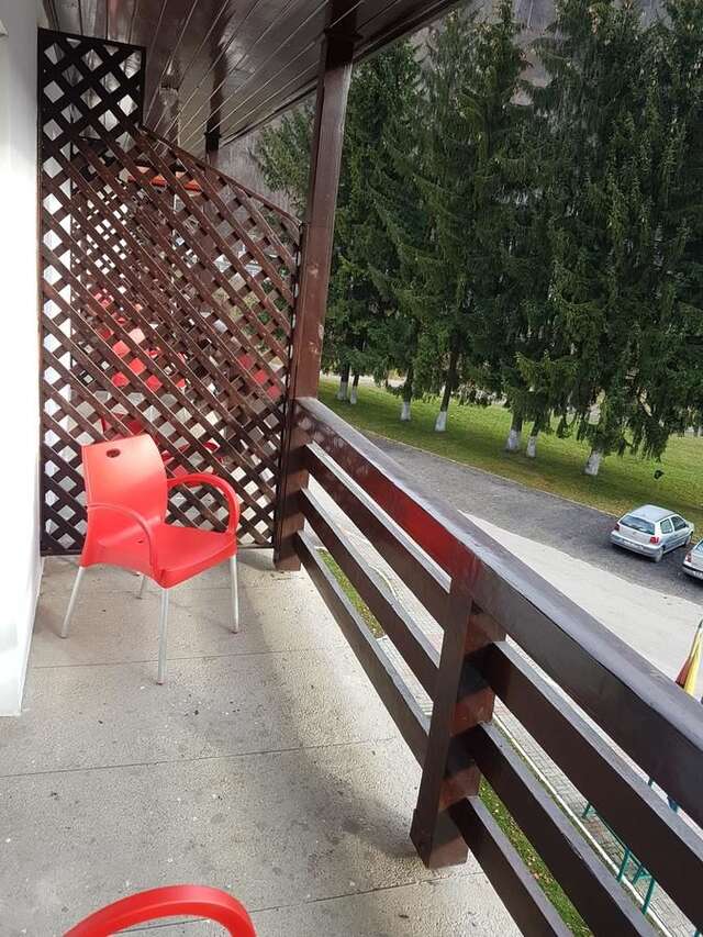 Отель Hotel Cristal Sinaia Синая-42