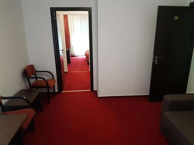 Отель Hotel Cristal Sinaia Синая-58